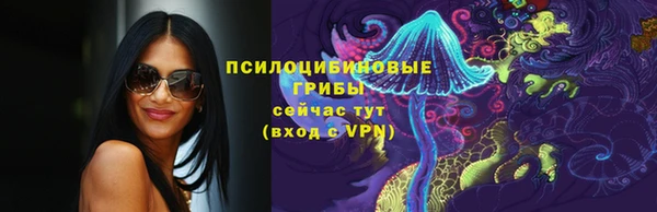 ECSTASY Алзамай