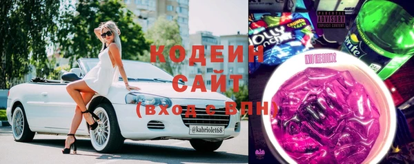 ECSTASY Алзамай