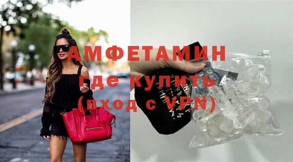 ECSTASY Алзамай