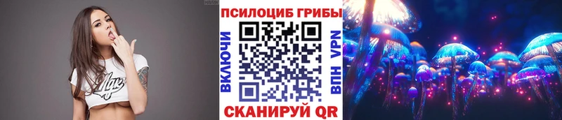 наркотики  Родники  Псилоцибиновые грибы мухоморы 